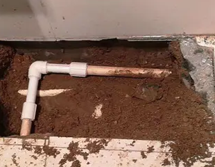 当雄测漏水哪家好