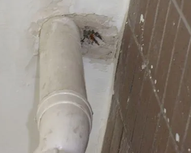 当雄漏水检测哪家好