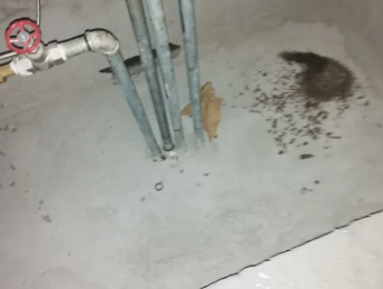当雄卫生间测漏水价格明细